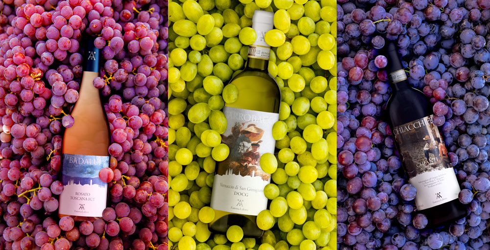 servizio di promozione per vinicole