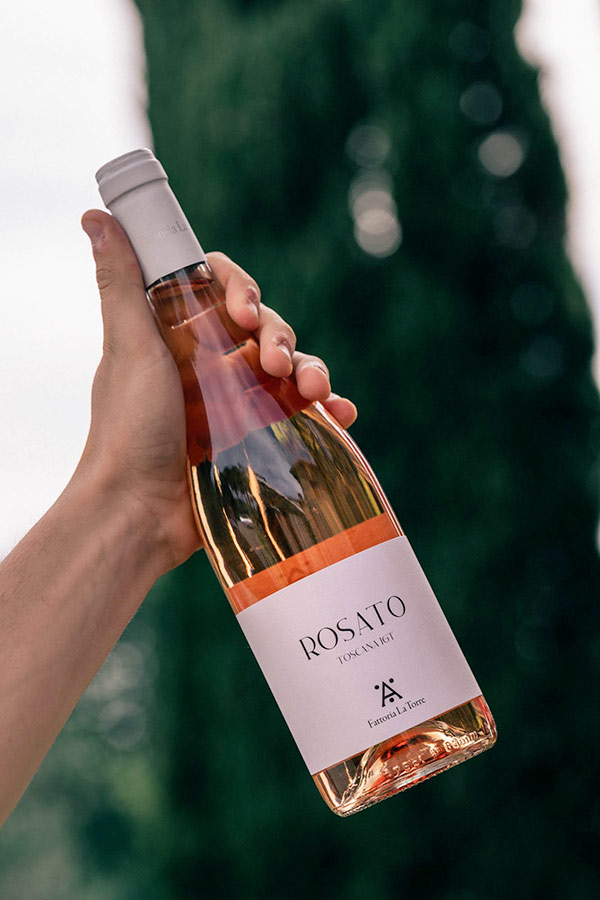 Foto bottiglie di vino per social media