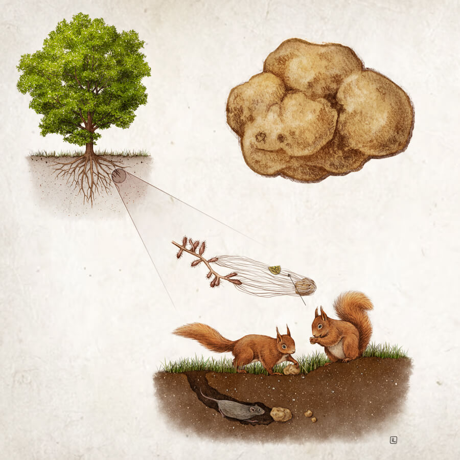 illustrazione per aziende