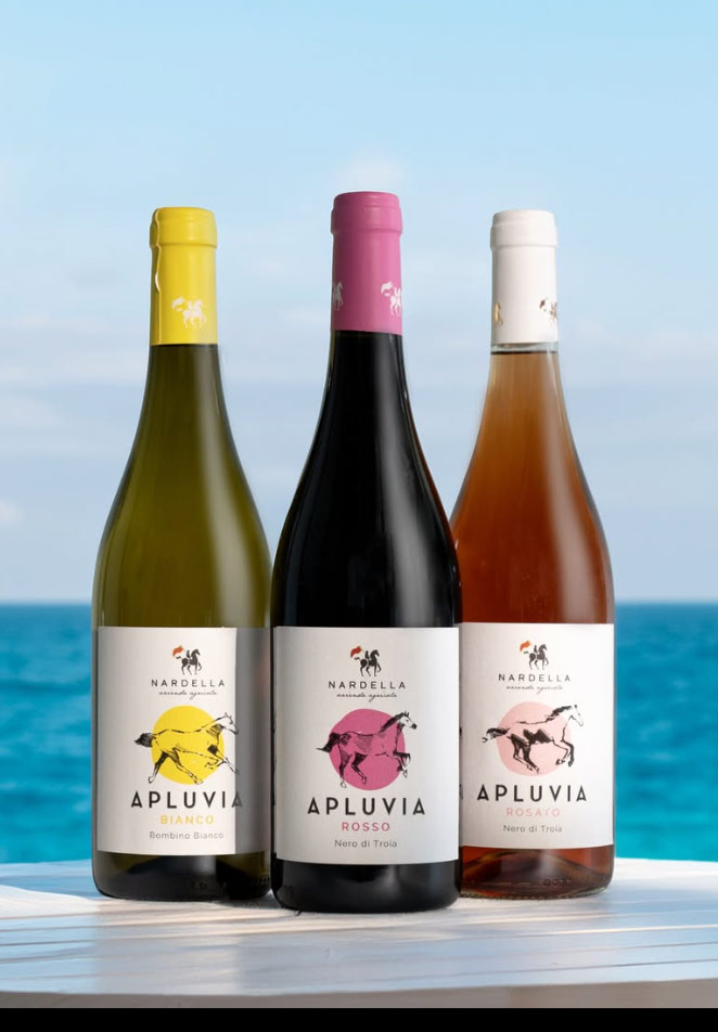 creazione etichette vino poggibonsi