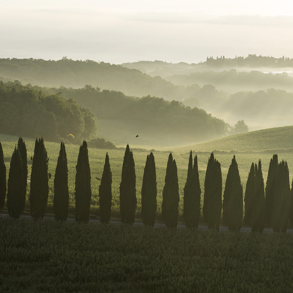 Servizi fotografici toscana